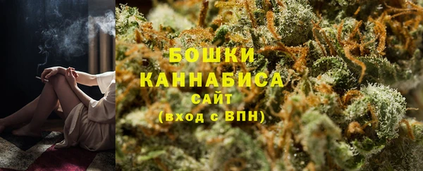a pvp Новозыбков