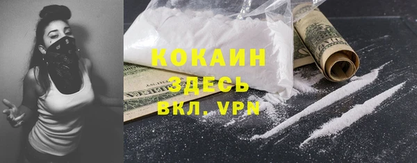 ешки Билибино