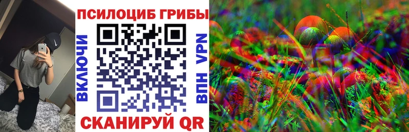 Галлюциногенные грибы GOLDEN TEACHER  Купить где  Мензелинск 