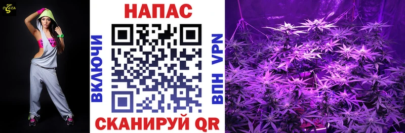 Каннабис OG Kush Мензелинск